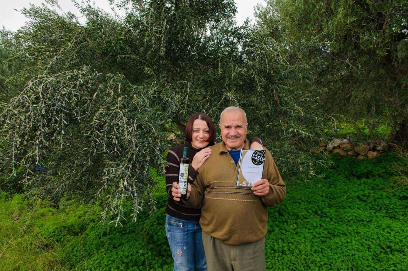Olive Branch Oil