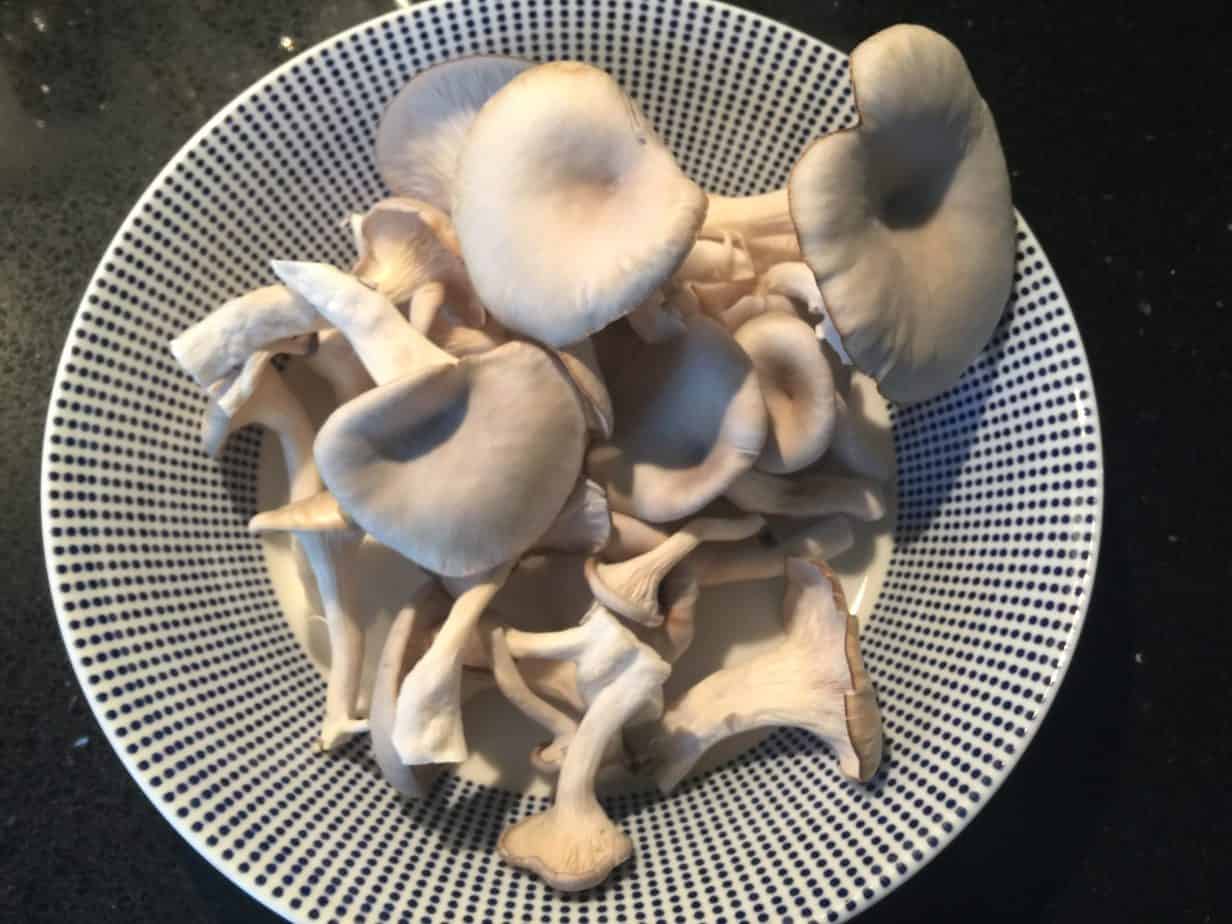 Grow-Your-Own Mushrooms