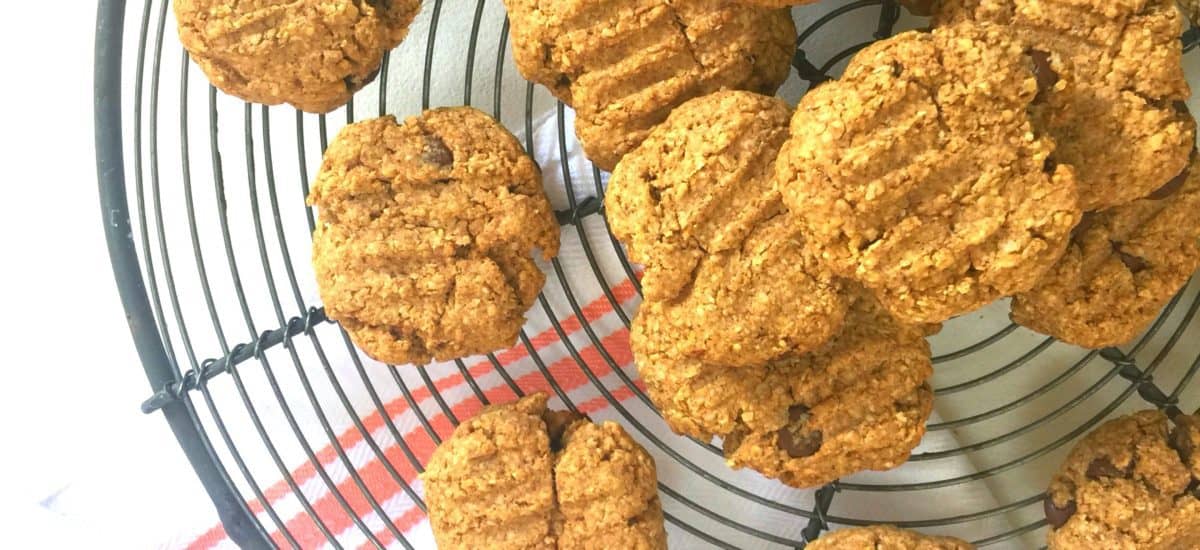 Slimming World Cookie Recipe