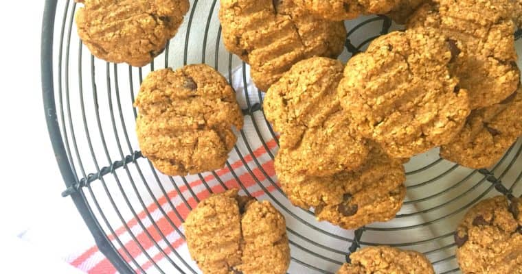 Slimming World Cookie Recipe